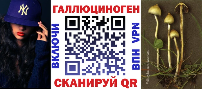 Галлюциногенные грибы Magic Shrooms  Дно 